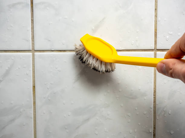 Best Emergency Mold Removal  in Olivehurst, CA