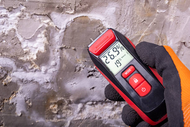 Best Residential Mold Removal  in Olivehurst, CA