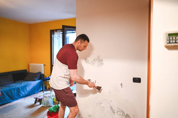 Best Certified Mold Removal  in Olivehurst, CA